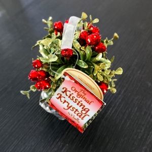 Christmas Mistletoe kissing Krystal
